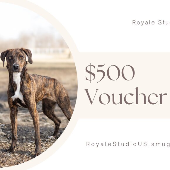 $500 Photography Gift Certificate for Royale Studio US